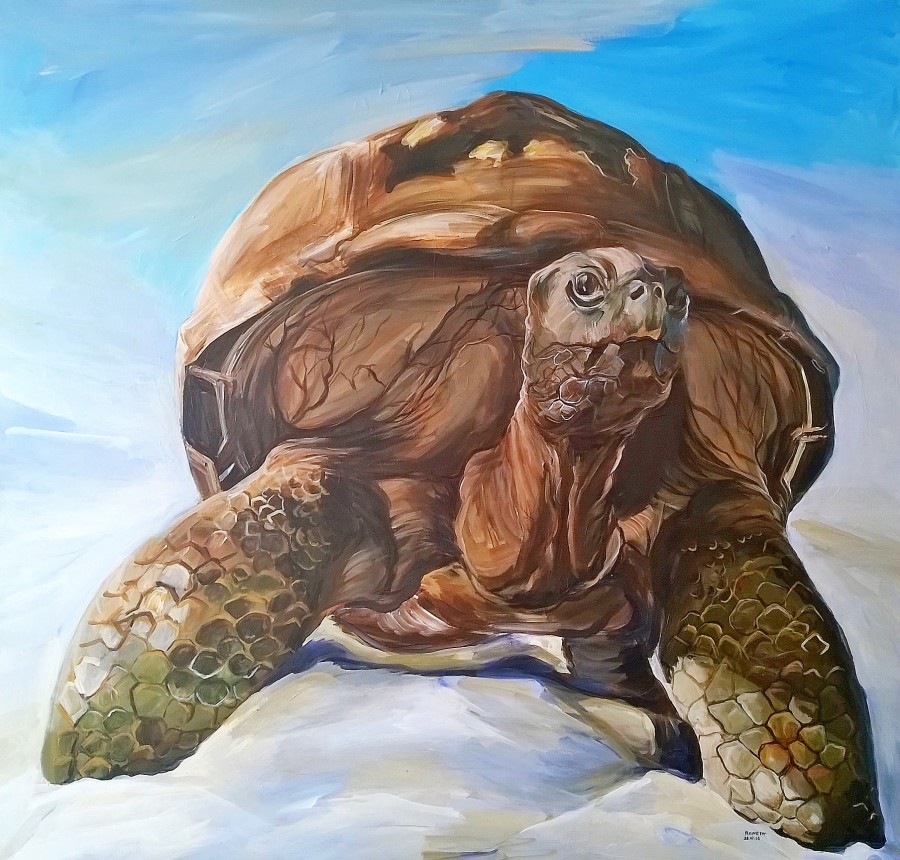Turtle by Reneta Bachvarova