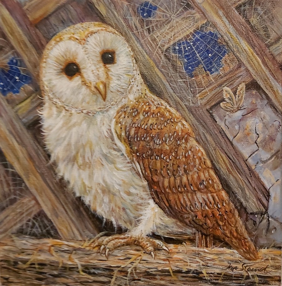 Barn Owl by Ian Stewart