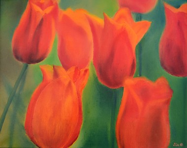  Scarlet Tulips 21