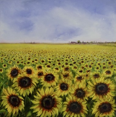 'Peace' Sunflowers 