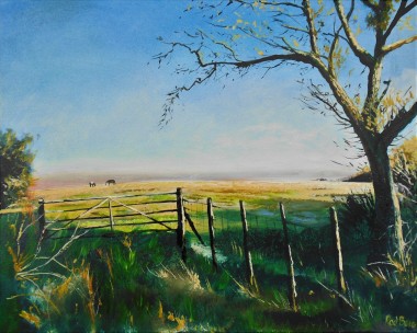 affordable art, December sun, sunlight & shadow, rural, trees, farm, Kent, field gate,