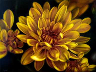 Yellow chrysanthemum»