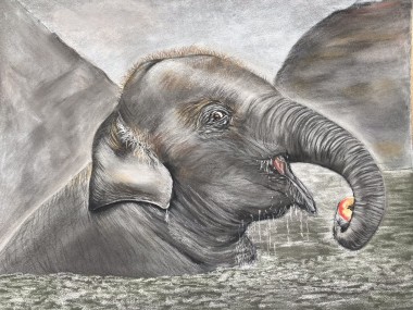 Baby elephant in pastels 