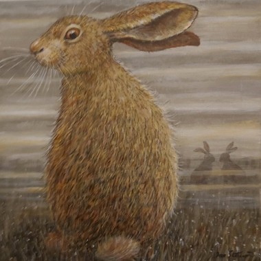 Hare full view