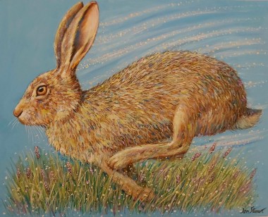 Hare full view 