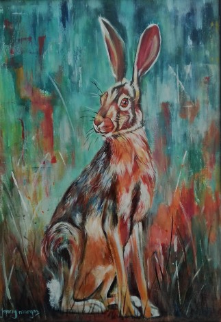 #hare #woodland #rabbit #wildlife #