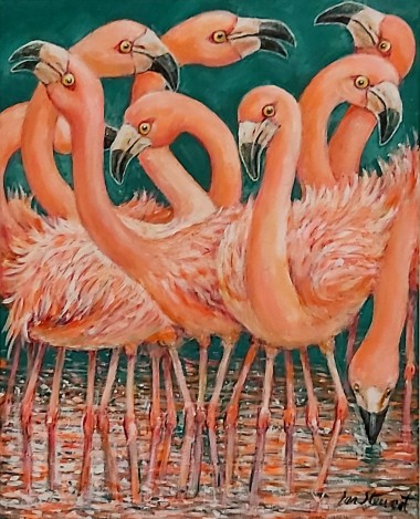 Flamingos full view