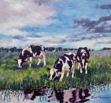 Cattle in Water Meadow 