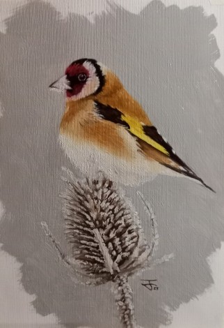 The Goldfinch (a winters scene)