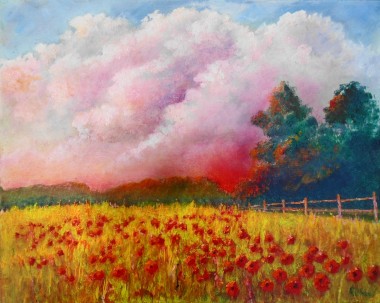 A Sunrise of Poppies