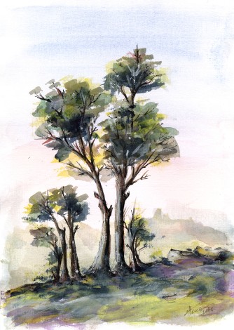 Tree Study watercolor on paper