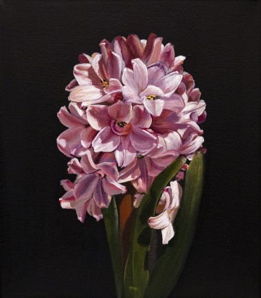 The First Hyacinth 
