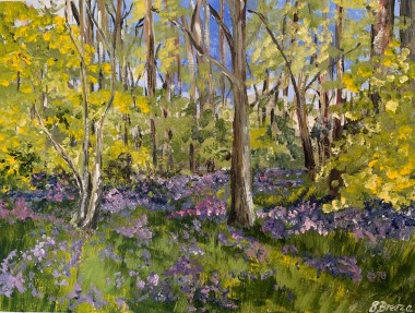 Springtime Bluebell Wood 