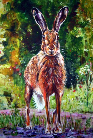 Broadlands Hare