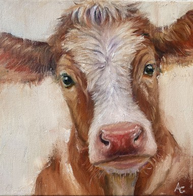Brown Cow Cora