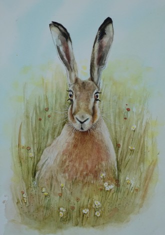 Hare 'Spring On The Way'