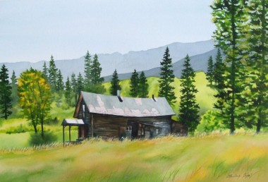 Montana cabin