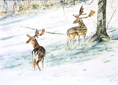 Deer Winter landscape watercolour painting by UK artist Elizabeth Sadler