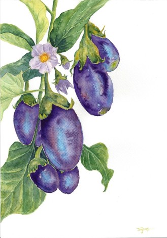still life, colorful, eggplant, food, fruit, healthy nature plants, purple, vegetable, plants, watercolor, art, painting