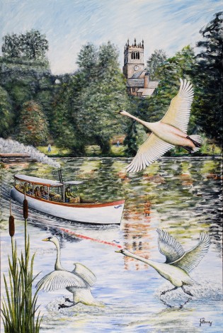 Ellesmere Swans
