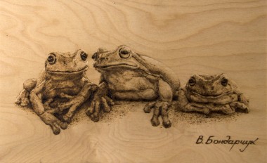 frogs animals tree figure gossip rumors