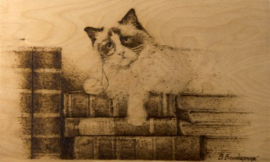 cat books story tales