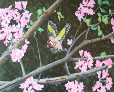 Goldfinch In Blossom