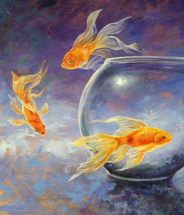 Goldfish XXX