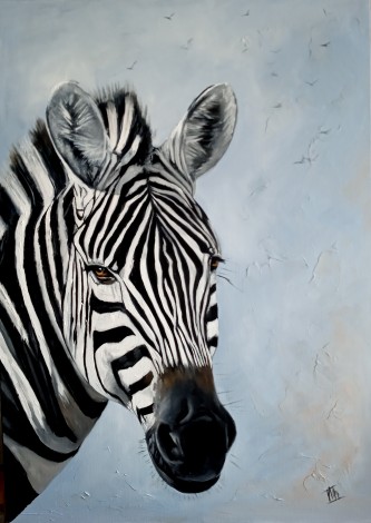 Portrait of a White-to- Black Zebra