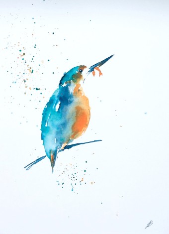 Kingfisher on Branch 2