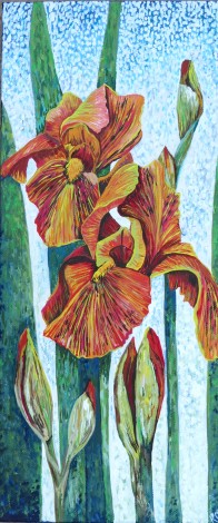 Orange iris