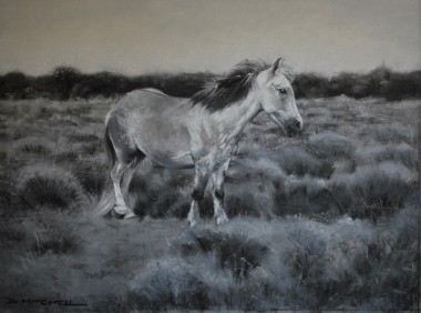 pastel painting new forest pony
