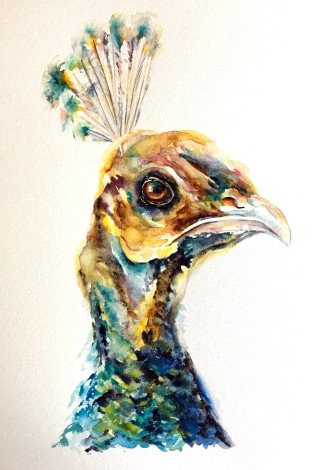 Peevish Pam artwork, a contemporary watercolour painting of a peahen in bright emerald hues.