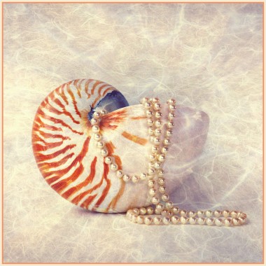 Sea Shell And Pearls