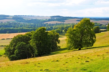 The Meon Valley in Summertime
