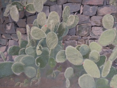 Tenerife Cactus No 2