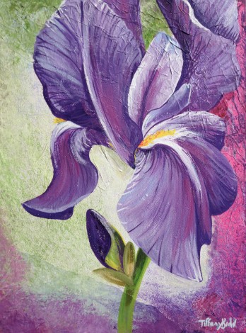 Textured Iris