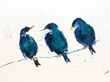 Three Starlings 1