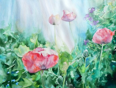Poppies in the Garden Watercolour Version